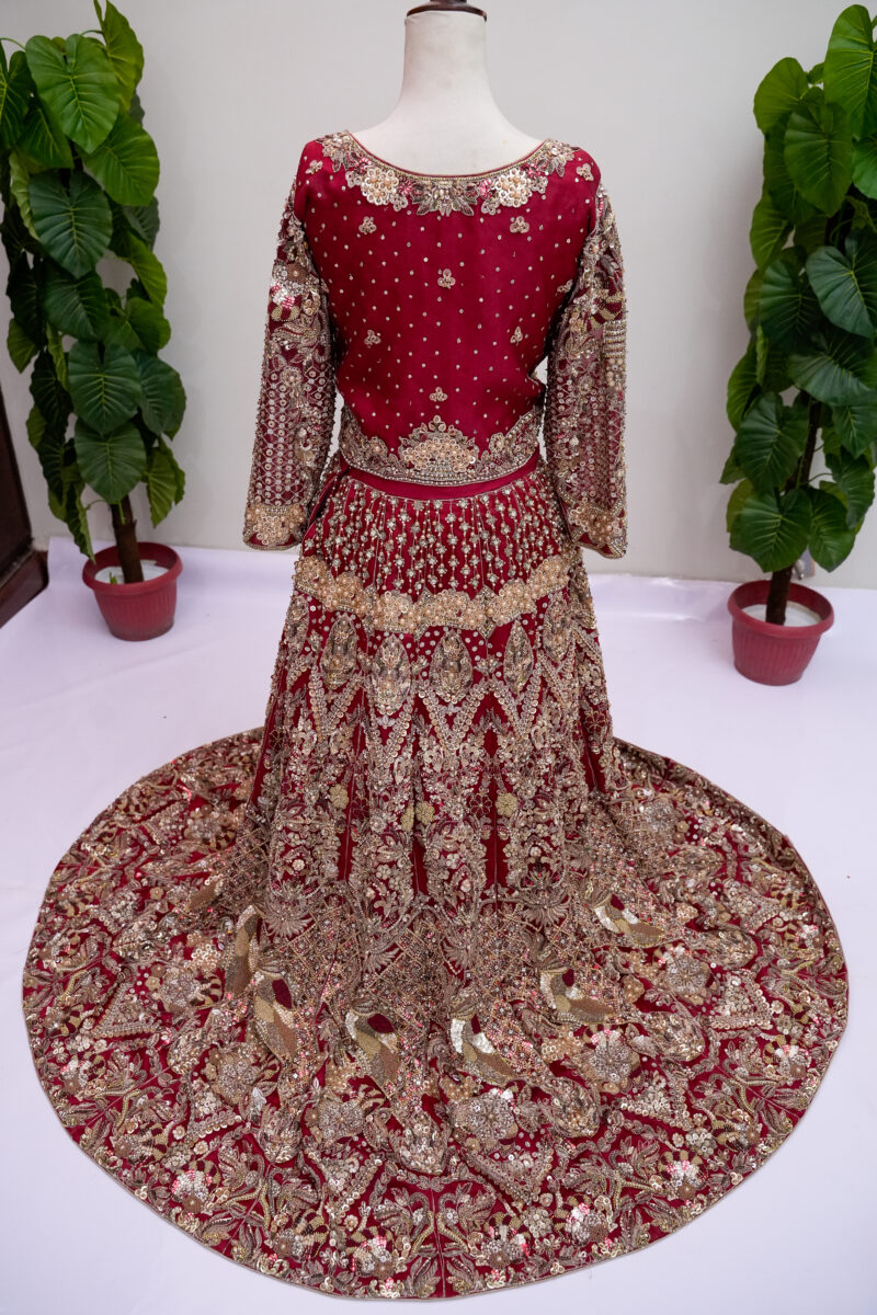Lehenga & Blouse - Image 2