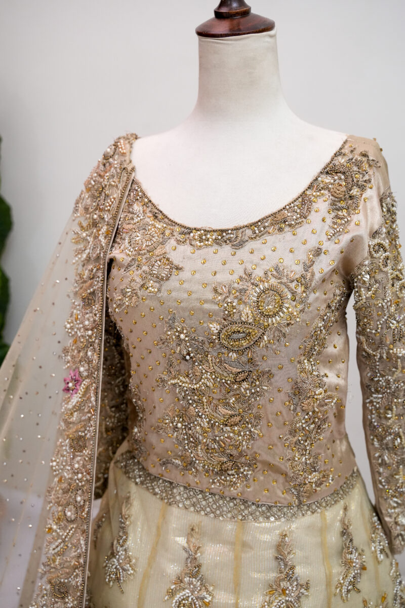 Lehenga & Blouse - Image 2