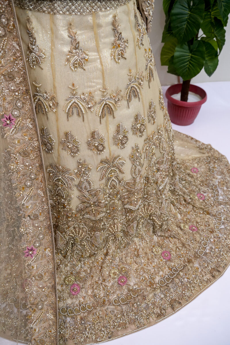 Lehenga & Blouse - Image 5