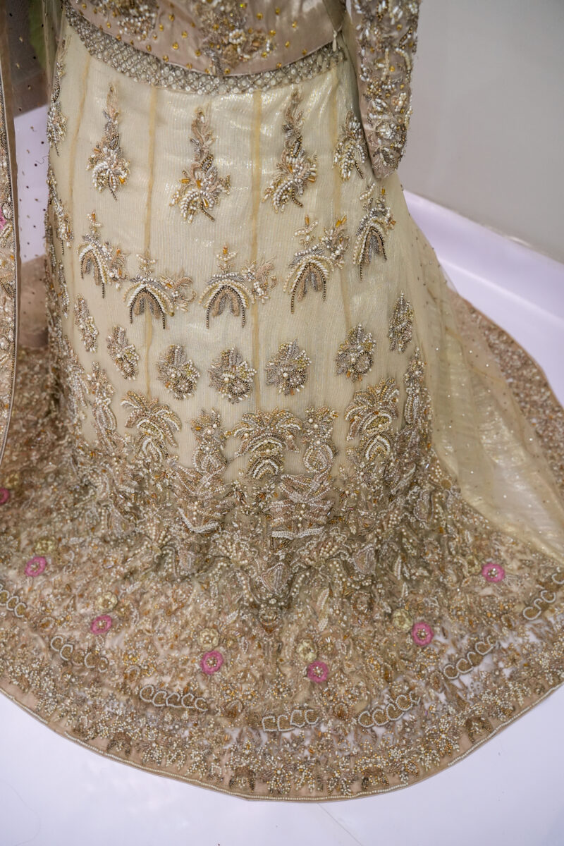 Lehenga & Blouse - Image 6