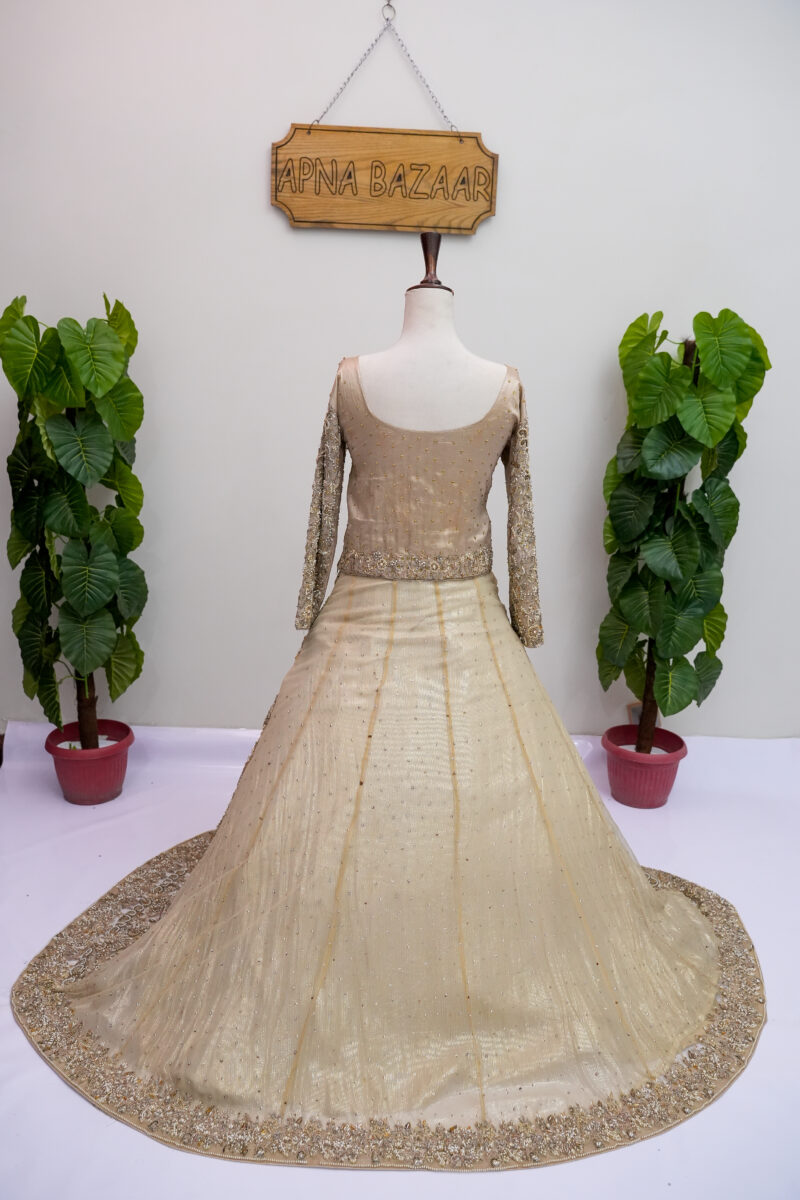 Lehenga & Blouse - Image 7
