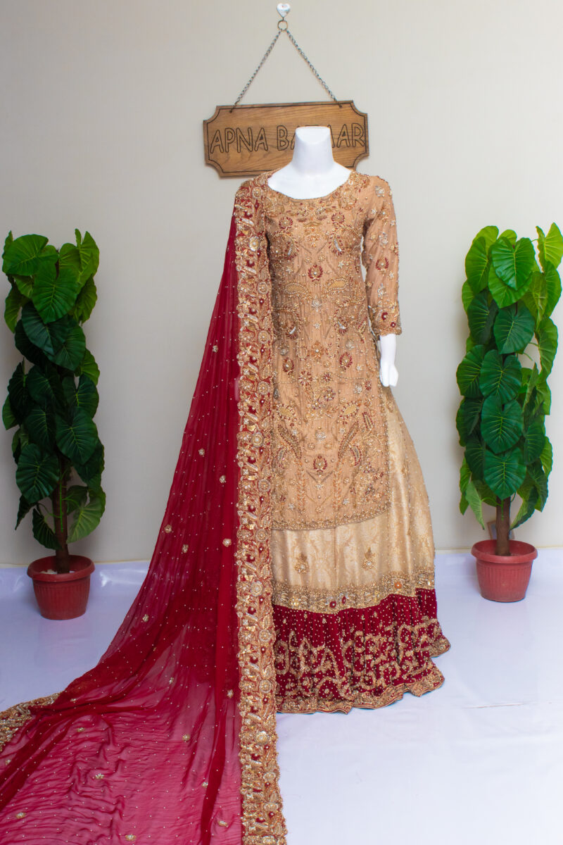Lehenga & Shirt