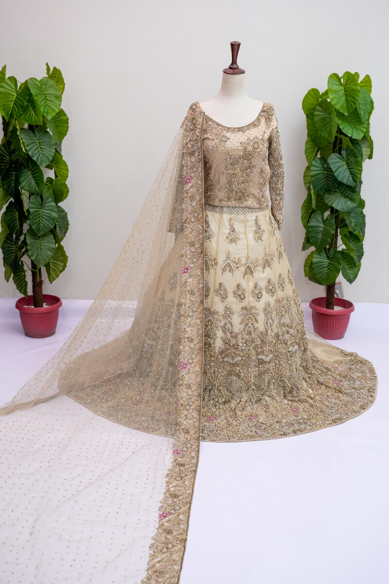 Lehenga & Blouse